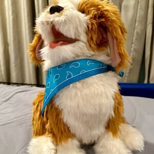 Realistic Freckled Scruffy Dog Life Companion Pets